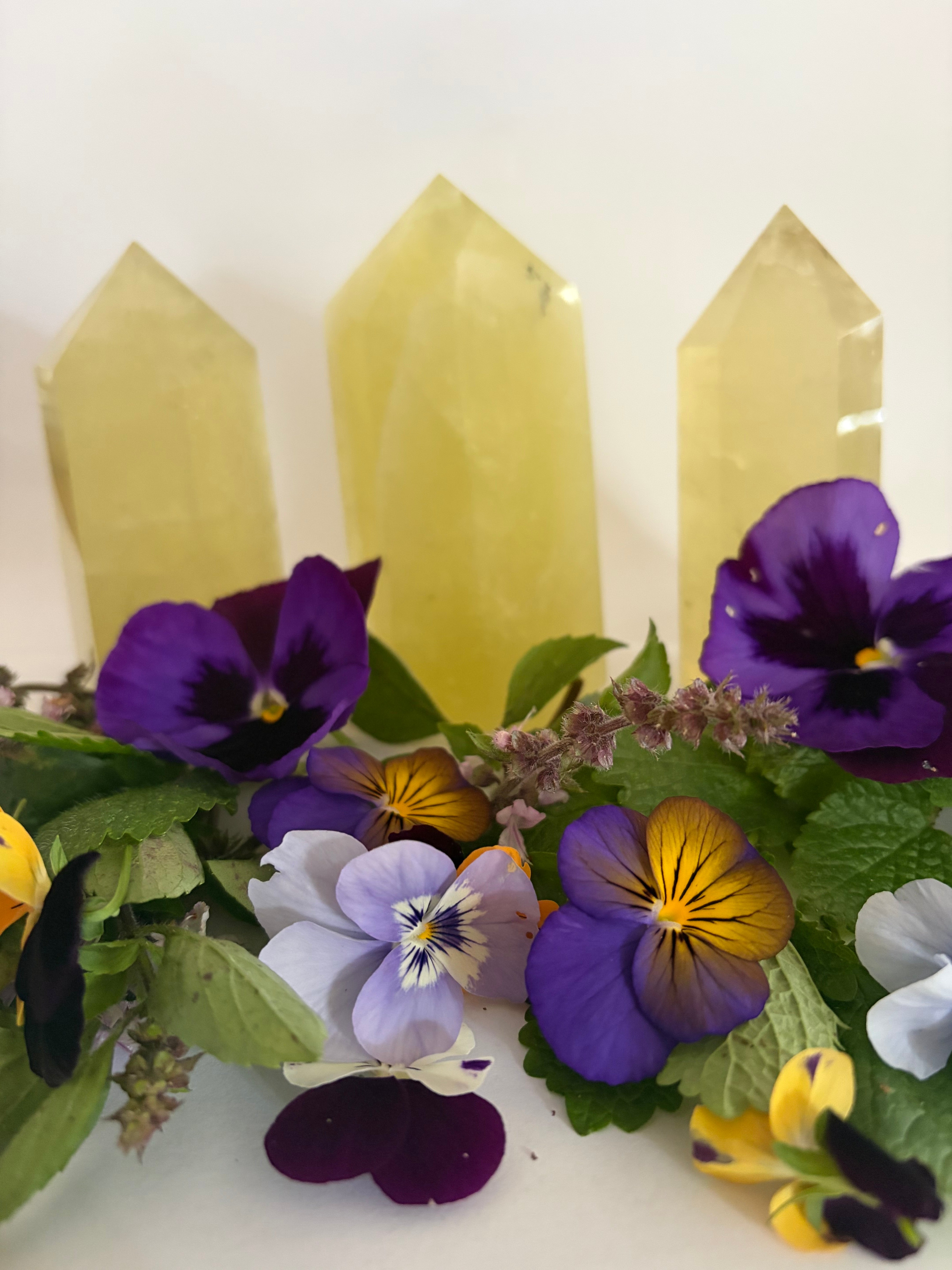 Lemon Quartz Large Chunky Points