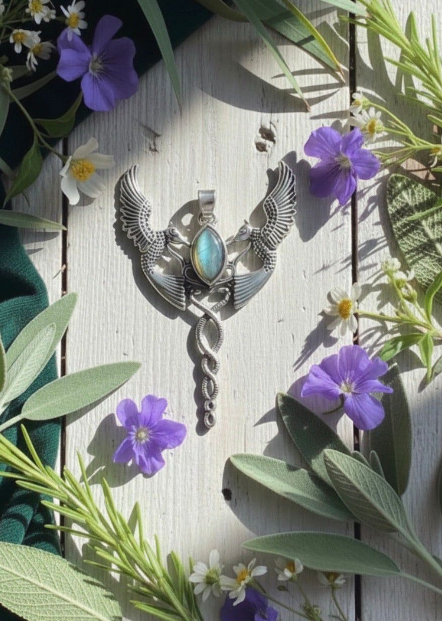 The Humming Bird of the Hidden realms
