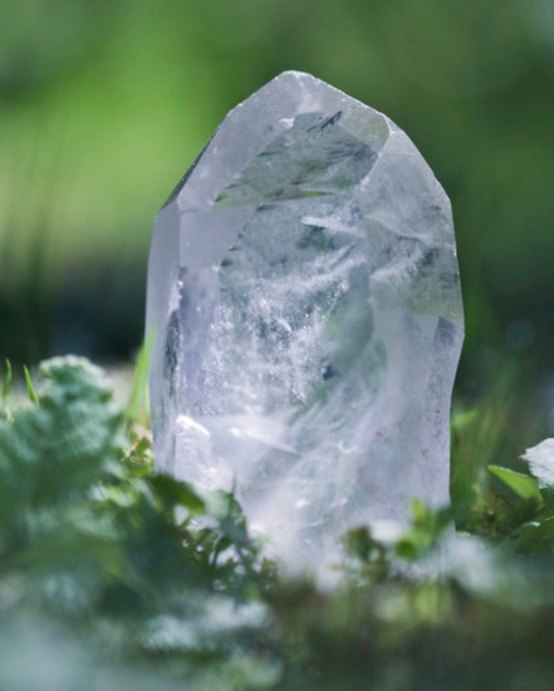 Magdalane Elixir Meditation