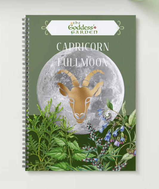 CAPRICORN FULL MOON Lunar Temple