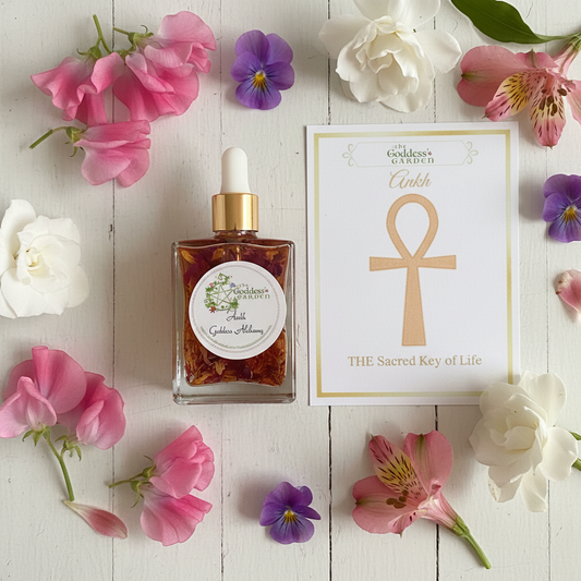 Ankh Venus Alchemy