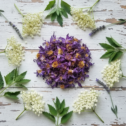 Blue Lotus Loose Tea