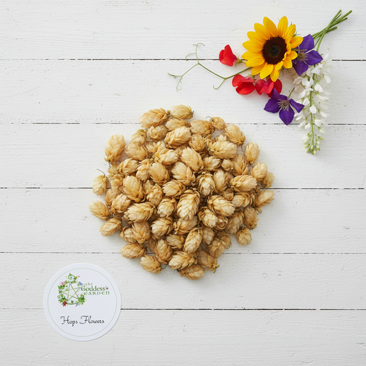 Hops Flowers