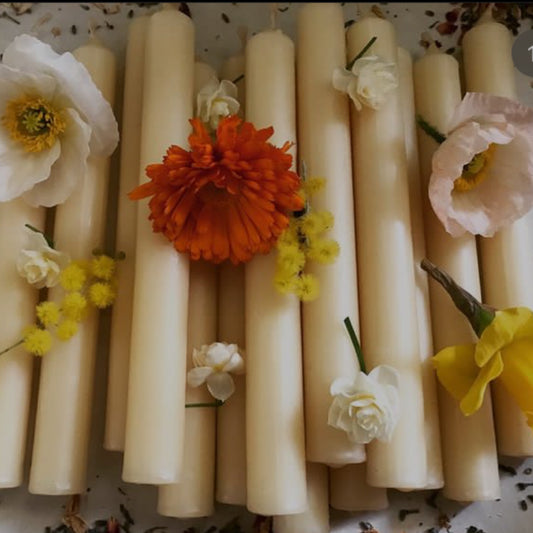 Pillar Beeswax Candles 🐝