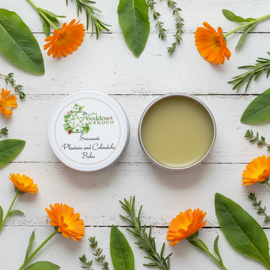 Plantain and Calendula Balm