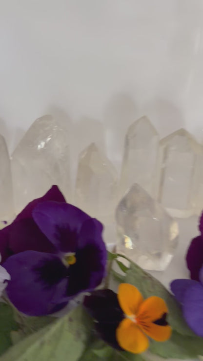 Clear Quartz Points